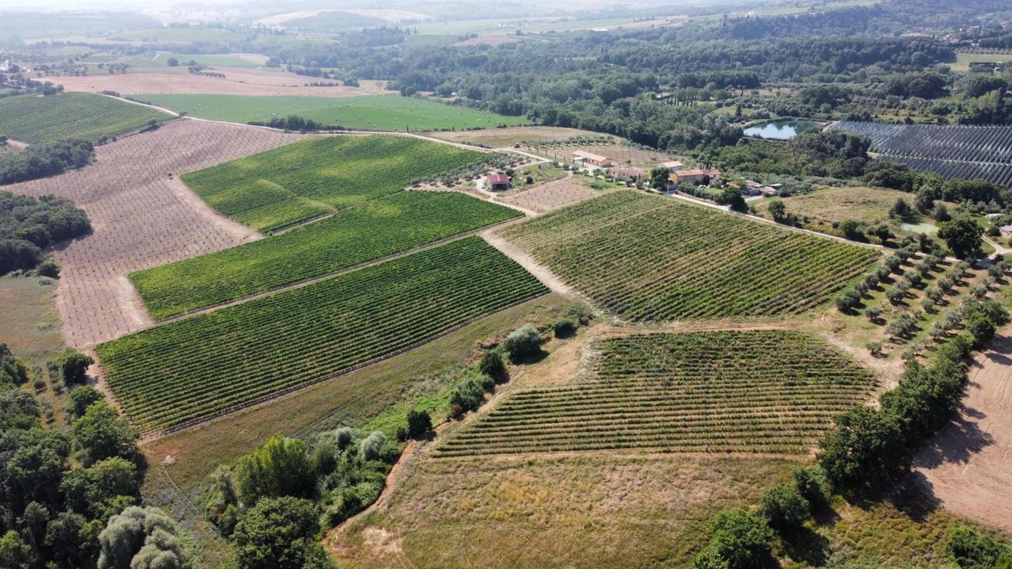 Agriturismo Podere Casa Al Vento Montepulciano Stazione Екстериор снимка