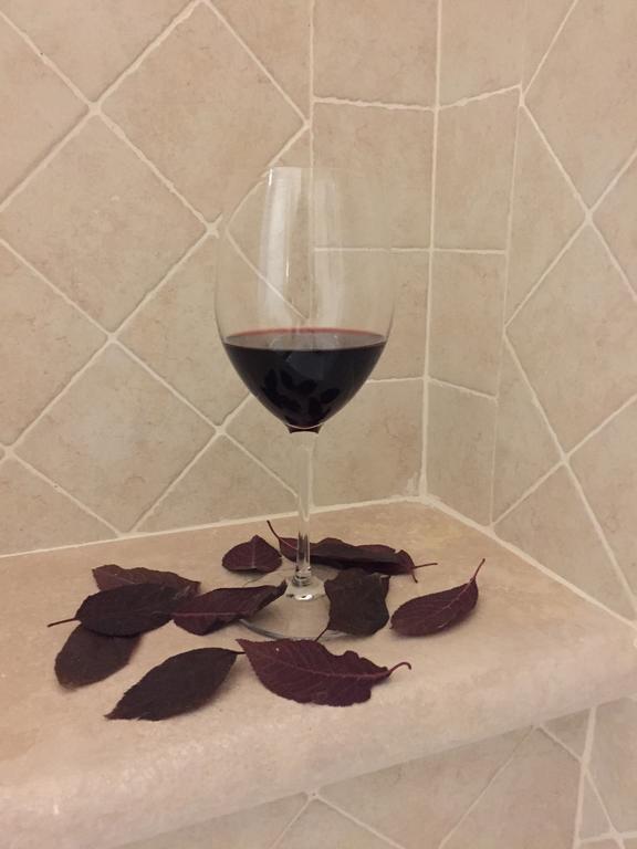 Agriturismo Podere Casa Al Vento Montepulciano Stazione Екстериор снимка