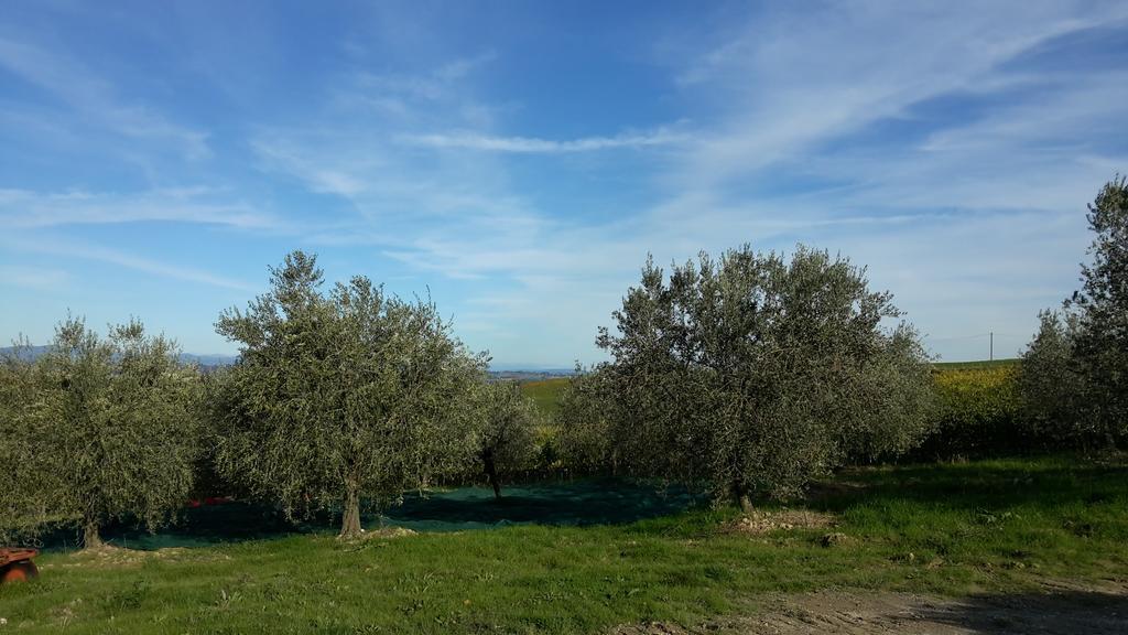 Agriturismo Podere Casa Al Vento Montepulciano Stazione Екстериор снимка