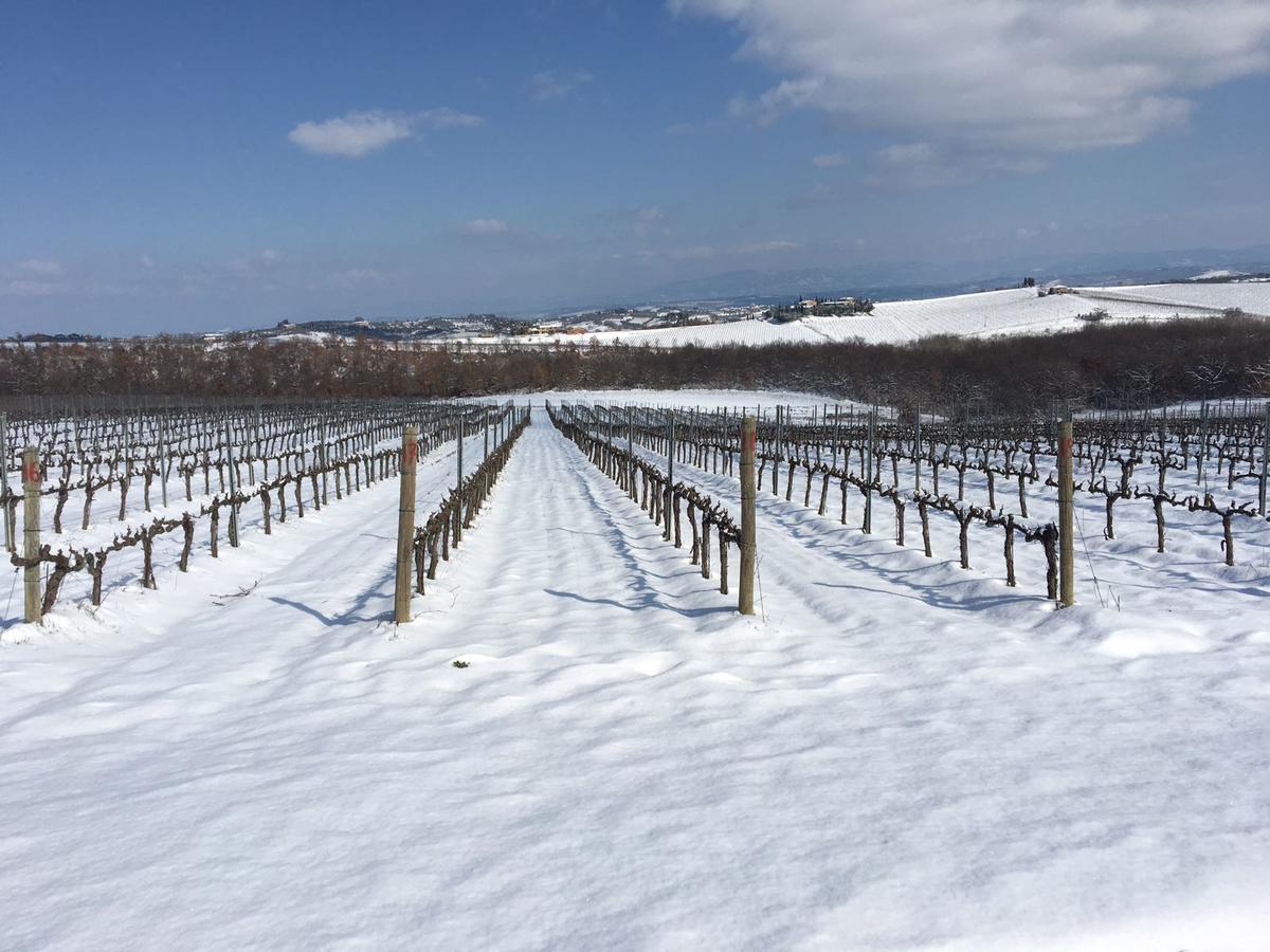 Agriturismo Podere Casa Al Vento Montepulciano Stazione Екстериор снимка