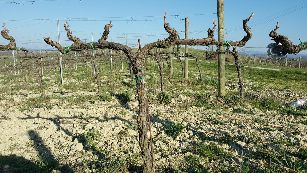 Agriturismo Podere Casa Al Vento Montepulciano Stazione Екстериор снимка