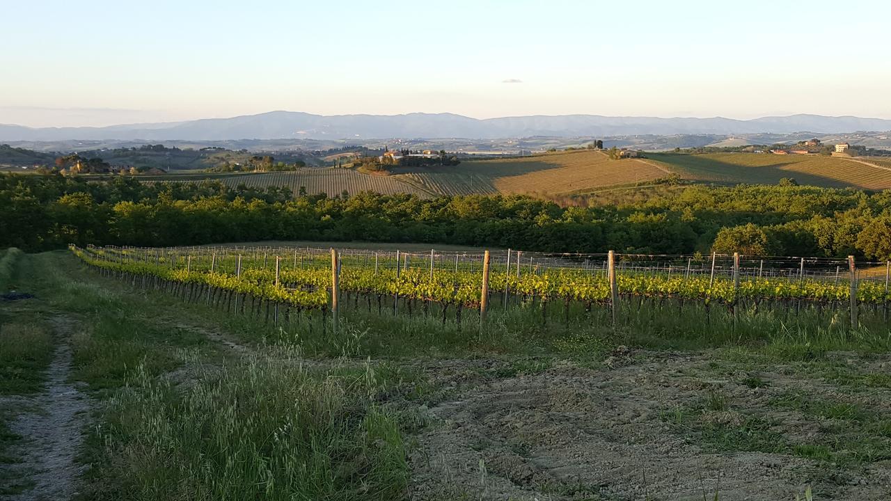 Agriturismo Podere Casa Al Vento Montepulciano Stazione Екстериор снимка