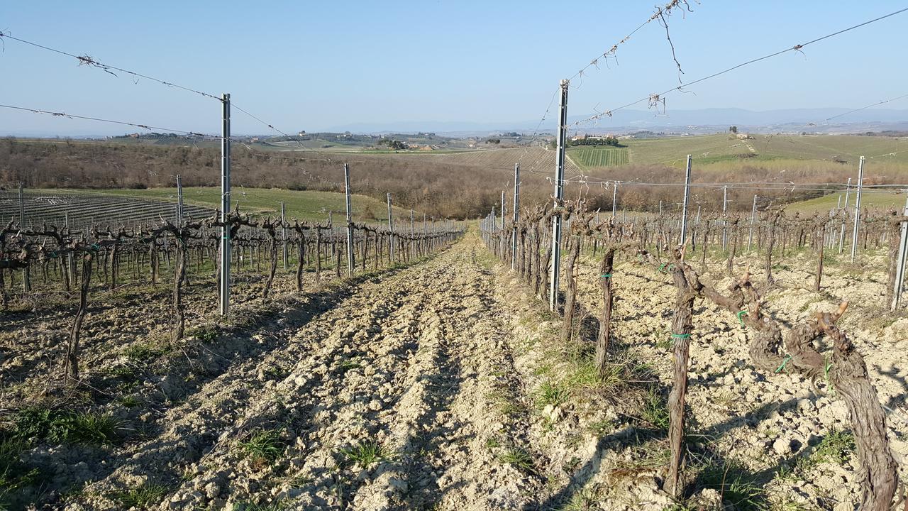 Agriturismo Podere Casa Al Vento Montepulciano Stazione Екстериор снимка