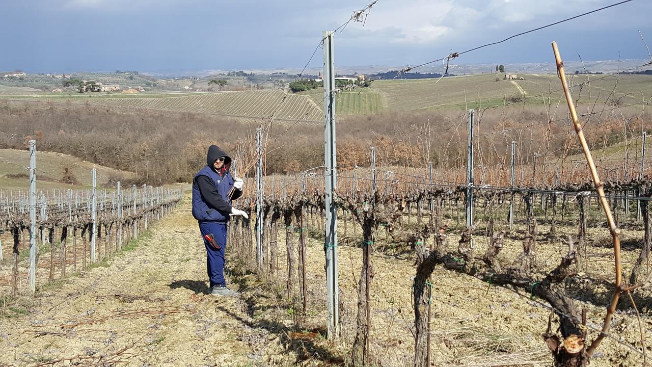 Agriturismo Podere Casa Al Vento Montepulciano Stazione Екстериор снимка